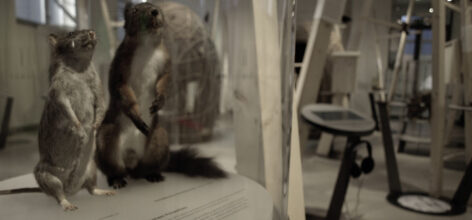 werbetechnik aus winterthur/museumstechnik/signaletik/beschriftungen. naef macht sichtbar.