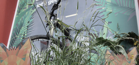 werbetechnik aus winterthur/gebäudebeschriftung/schaufensterbeschriftung. naef macht sichtbar.