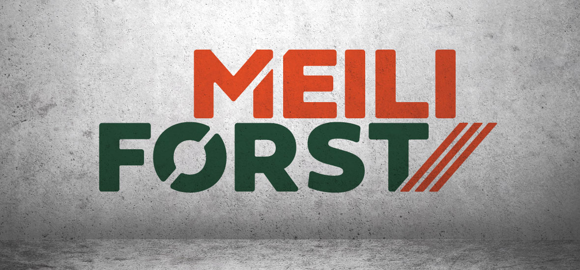 werbegrafik aus winterthur/firmen-und produktelogos. naef macht sichtbar.