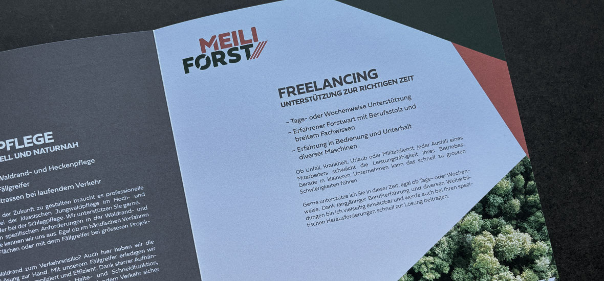 werbegrafik aus winterthur/broschüren und flyer. naef macht sichtbar.